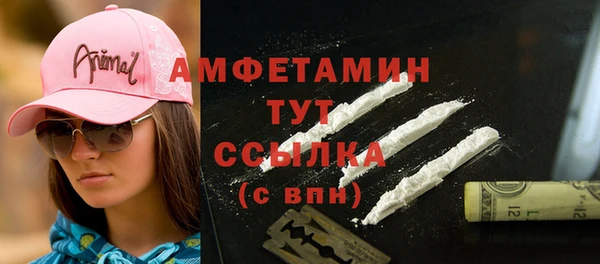 прущие грибы Козельск