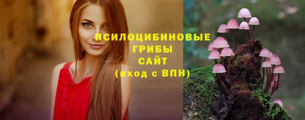 сатива Кодинск