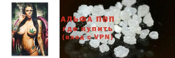 сатива Кодинск