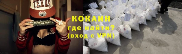 прущие грибы Козельск