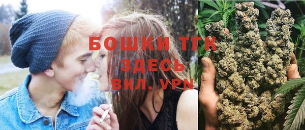прущие грибы Козельск