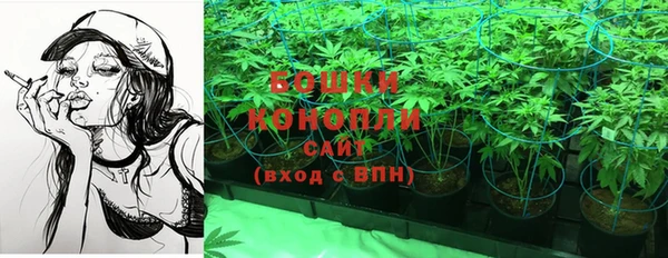 прущие грибы Козельск