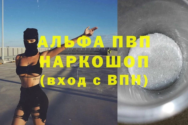 прущие грибы Козельск